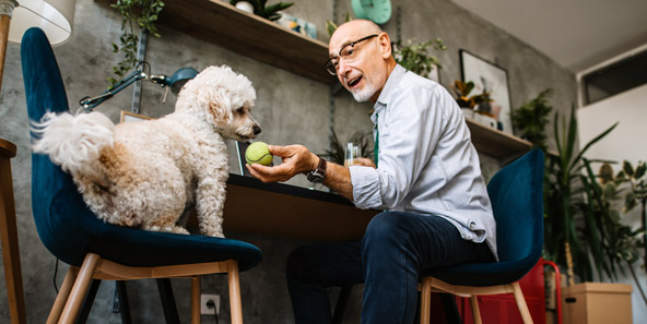 Doctor Discussing Medicare Options With Patient 